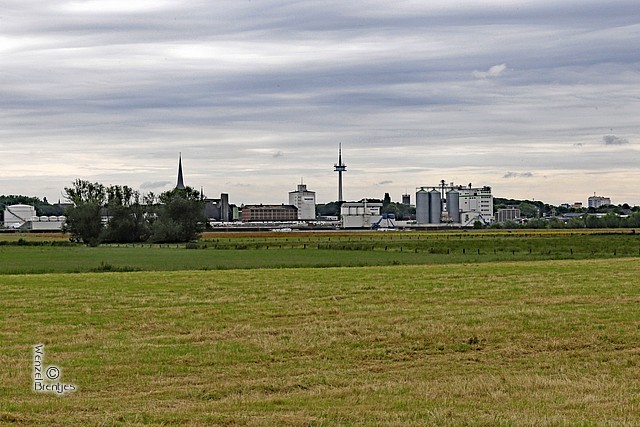 IMG_5710.jpg
