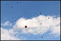 IMG_0400.jpg