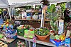 IMG_6913.jpg