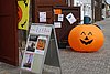 IMG_2988.jpg