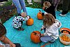 IMG_3080.jpg